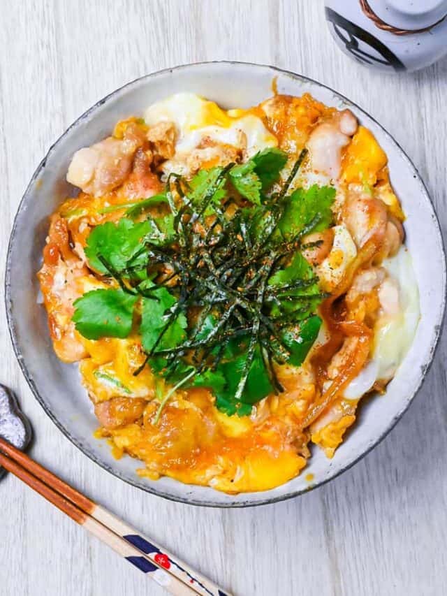 cropped-oyakodon-chicken-and-egg-5.jpg