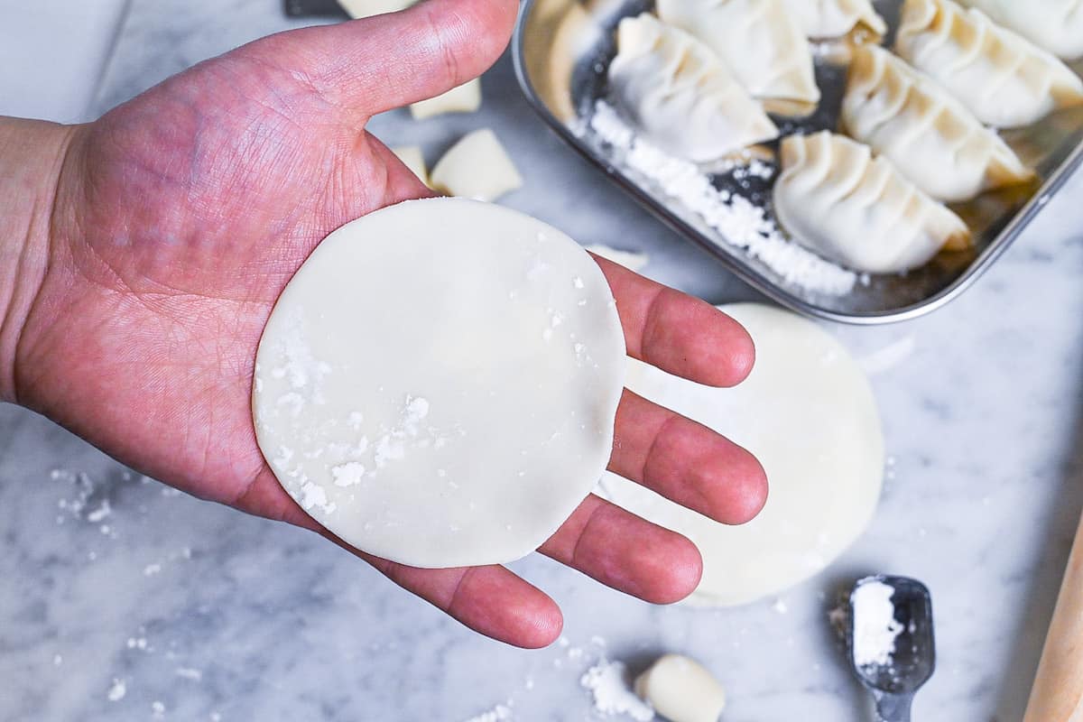 a gyoza wrapper in an open hand