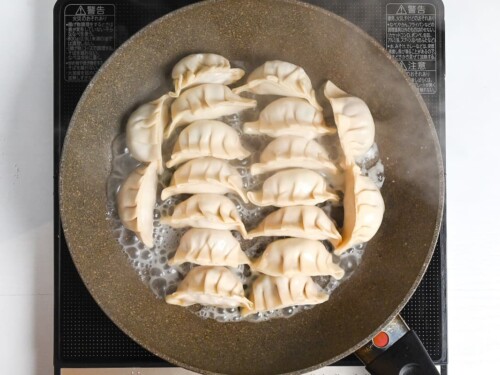 pan frying gyoza with slurry
