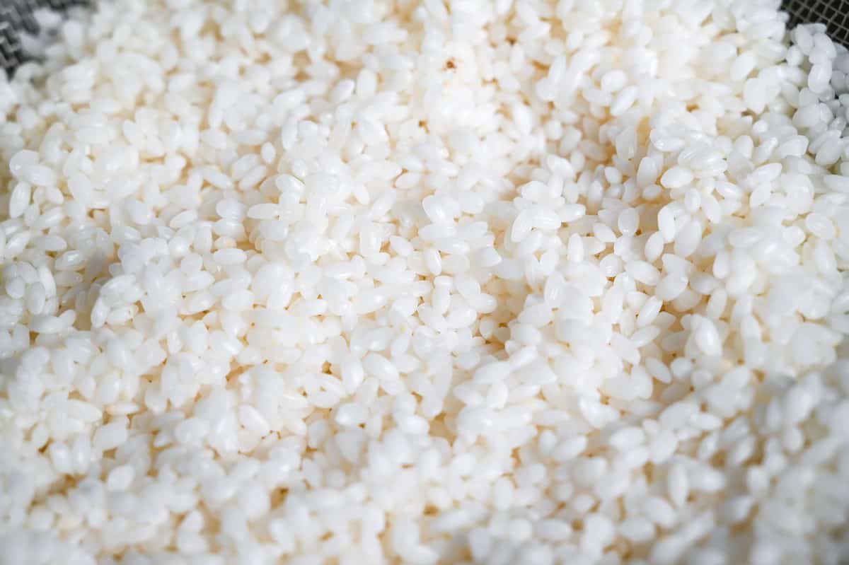 Perfect Japanese Steamed Rice Recipe — Yuki's Kitchen