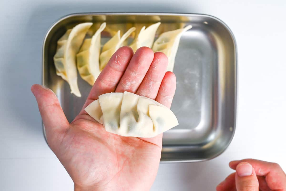 complete homemade tofu and vegetable gyoza in hand