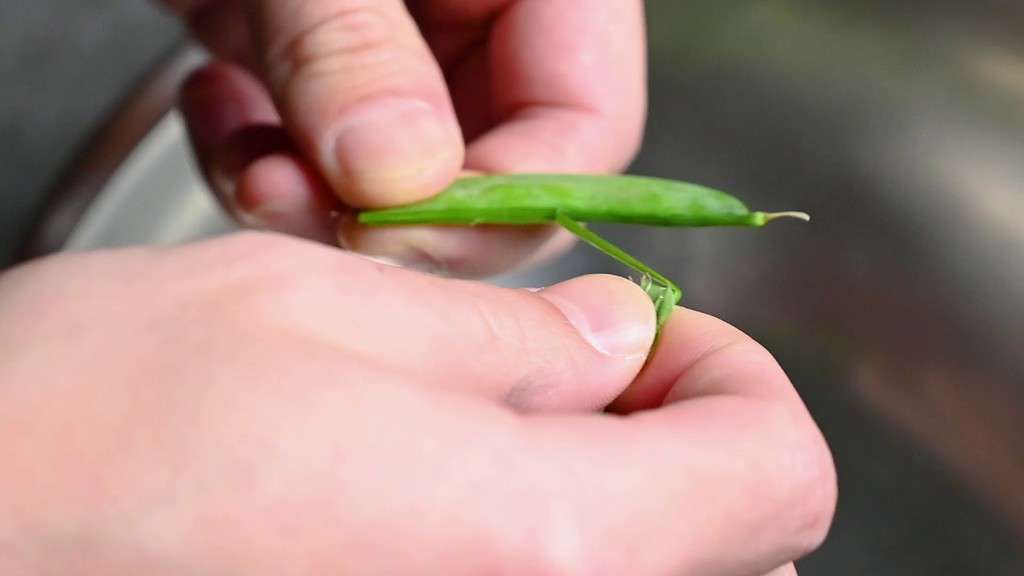 Peeling string out of snow peas