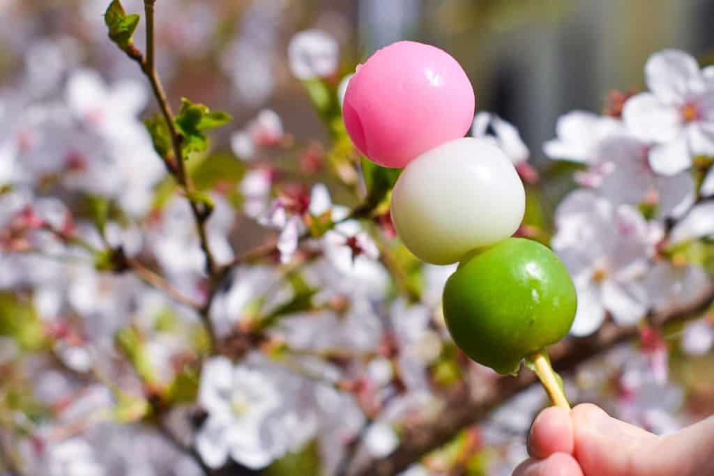 hanami dango held in front of cherry blossom tree