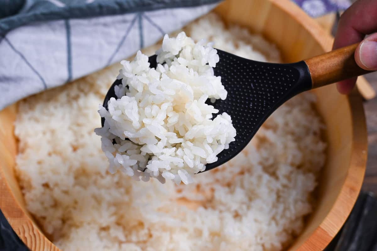Close up of sushi rice on a rice paddle