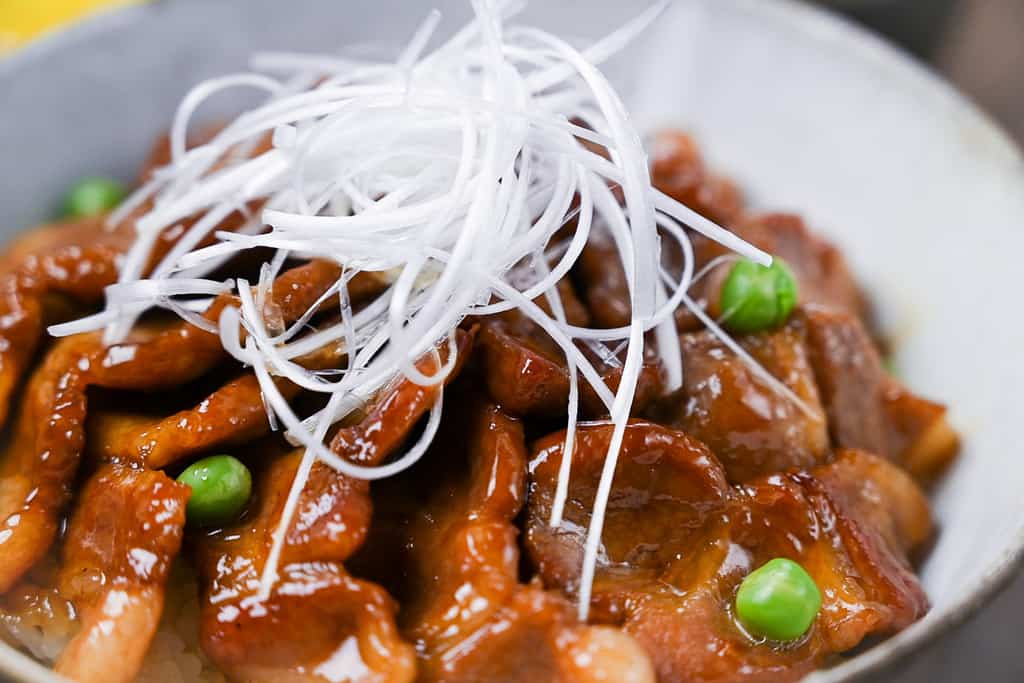 Closeup of "shiraganegi" white strings of Japanese long onion garnish for butadon