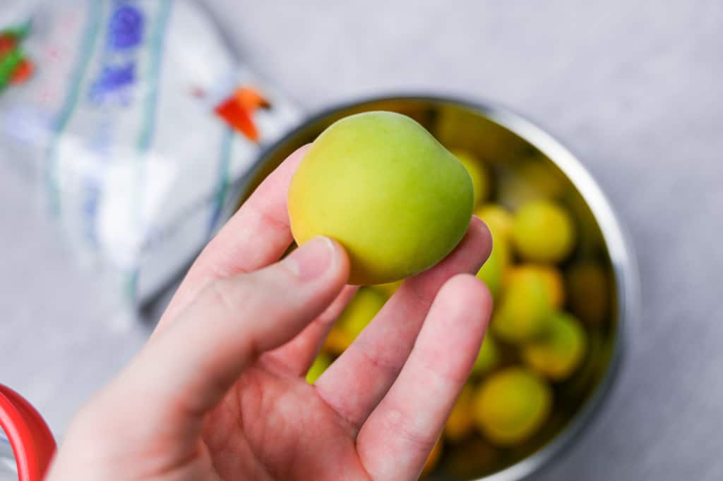 A hold holding one green ume plum