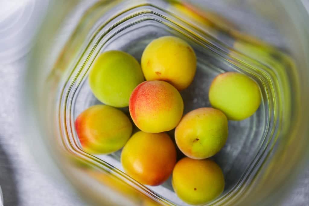 A layer of ume plums