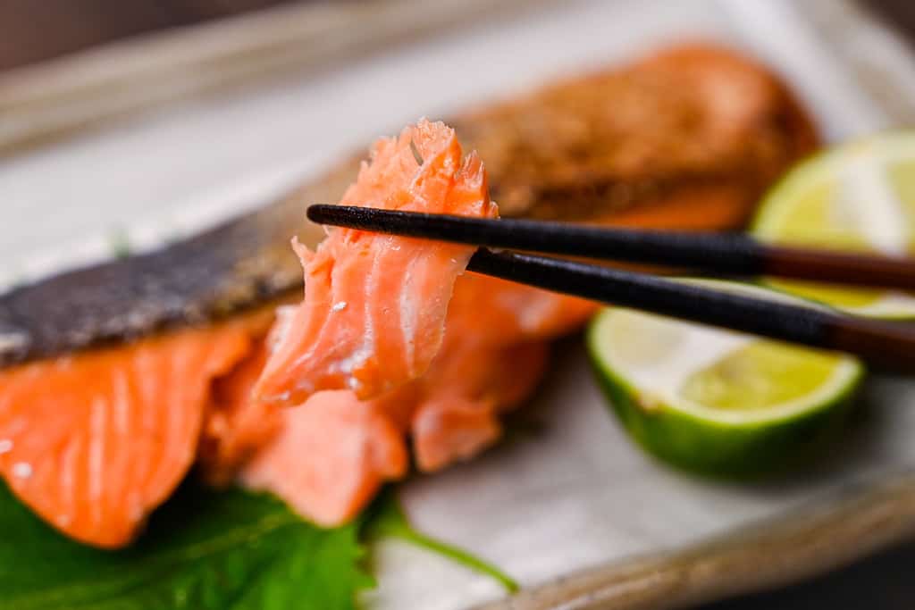 A piece of shiozake salted salmon held with black chopsticks