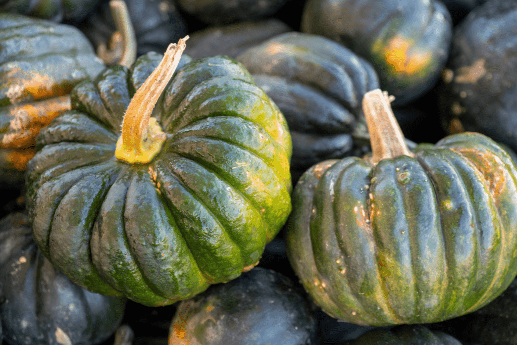 Japanese kabocha pumpkins