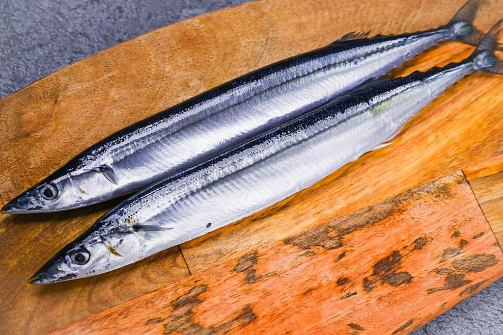 Fresh, raw pacific saury (sanma) on a wooden chopping board