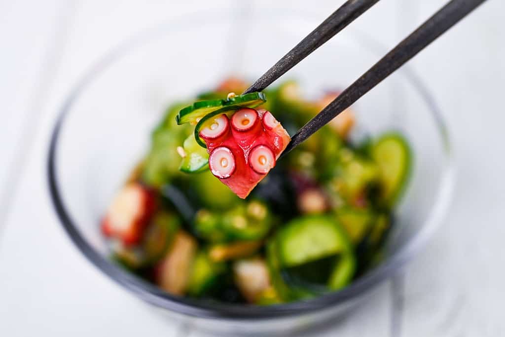 Chopsticks holding octopus and cucumber sunomono