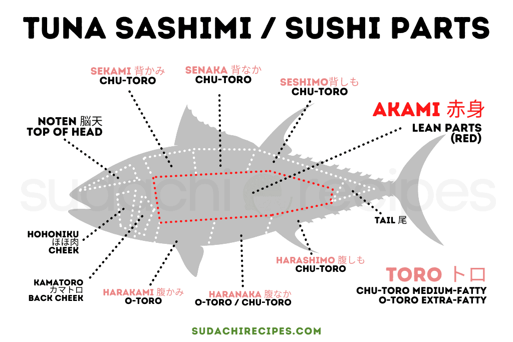 Parts of tuna used for sushi and sashimi