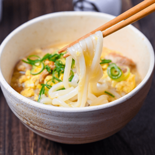 Japanese Udon Noodle Soup