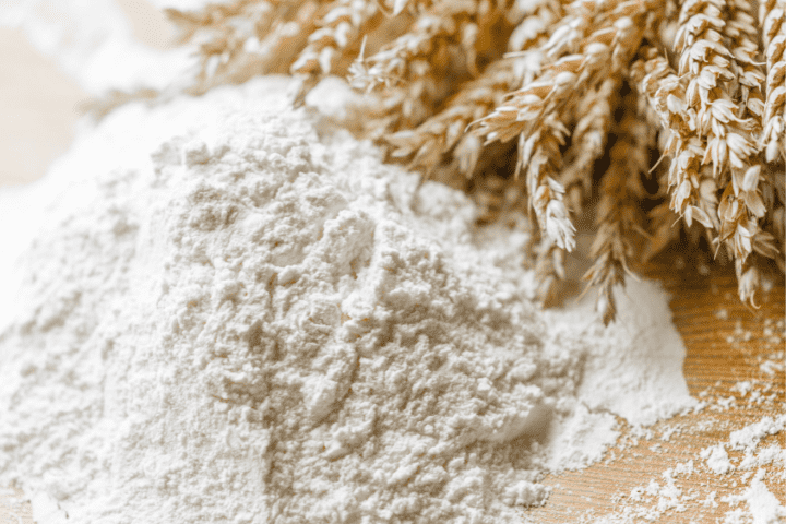 wheat flour with wheat plant