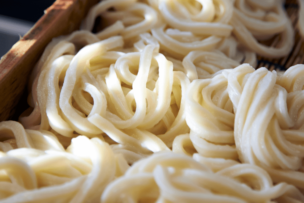 fresh udon noodles