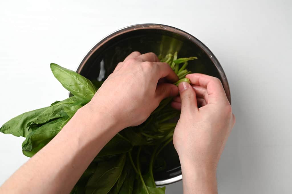 spinach preparation step 2