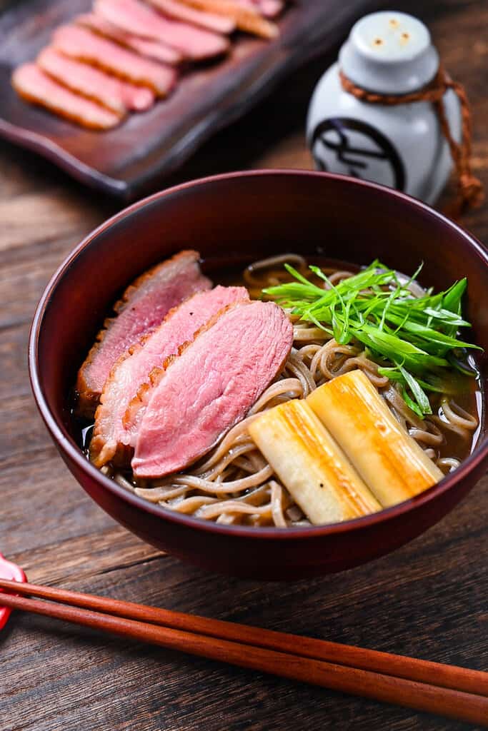 Japanese Duck Soba (kamo nanban soba) side view