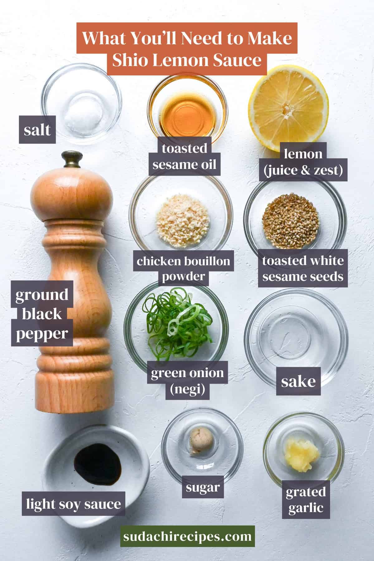 Ingredients to make shio lemon sauce. From top to bottom, left to right: salt, toasted sesame oil, lemon, ground black pepper, chicken bouillon powder, toasted white sesame seeds, green onions, sake, light soy sauce, light brown sugar and grated garlic