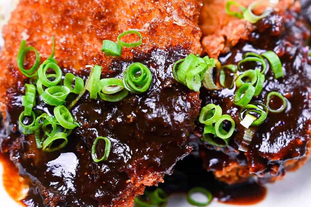 Hire katsu (breaded pork medallions) with Nagoya red miso sauce close up