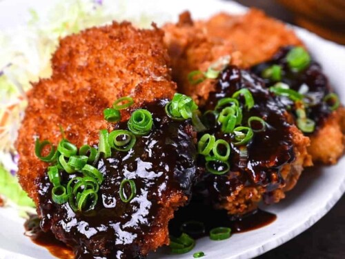 Hire Katsu with Authentic Nagoya Red Miso Sauce | Sudachi