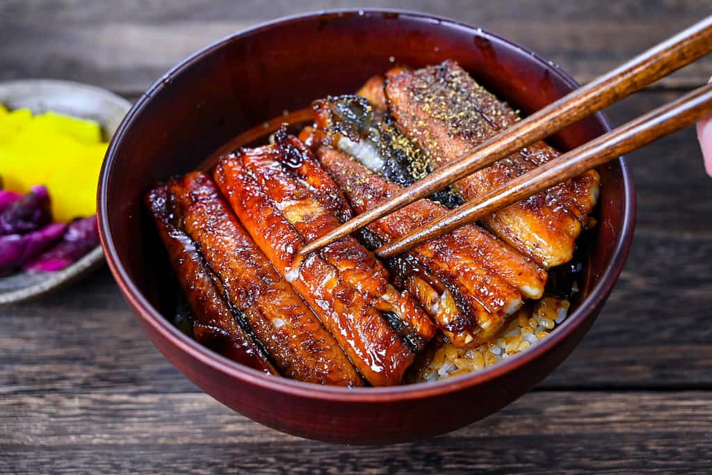 Unagi don (Japanese Grilled Eel Rice Bowl) sprinkled with sansho Japanese pepper held with wooden chopsticks