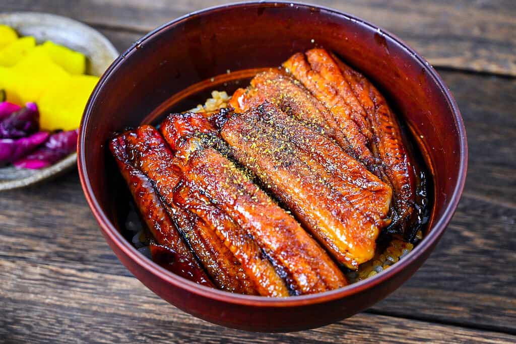 Unagi donburi (Japanese grilled eel rice bowl) Sudachi Recipes