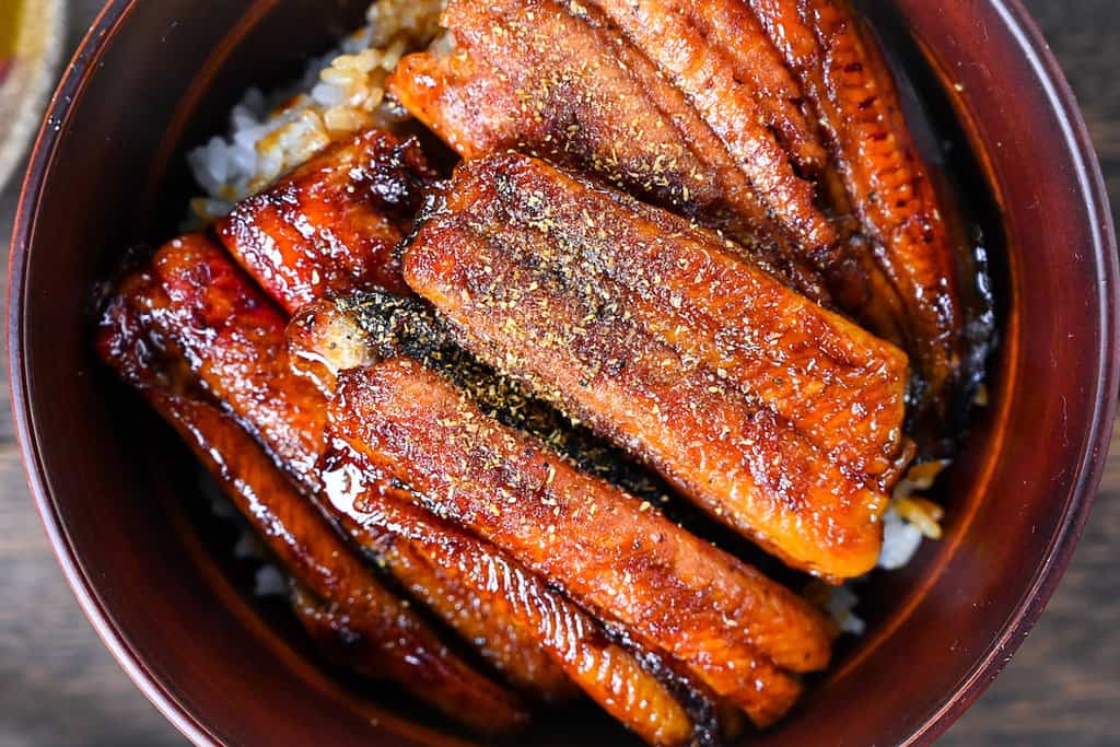 Unagi don (Japanese Grilled Eel Rice Bowl) sprinkled with sansho Japanese pepper close up