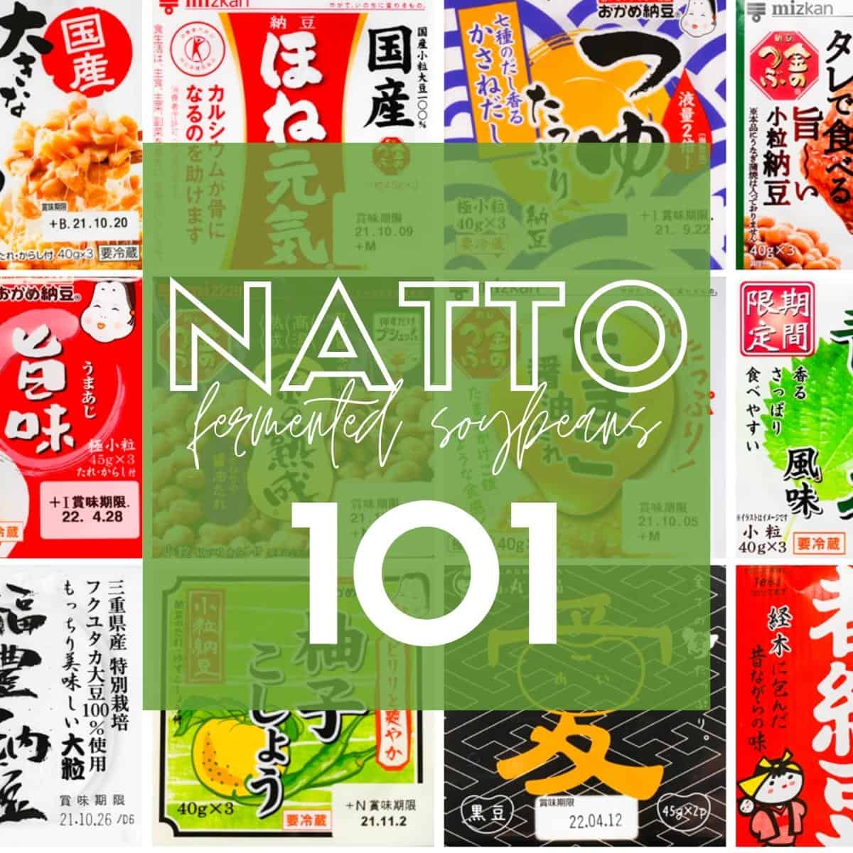 natto 101 thumbnail