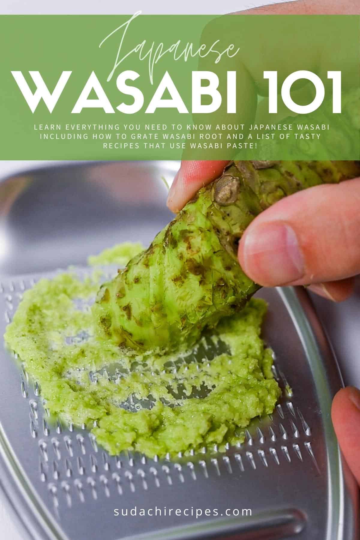 https://sudachirecipes.com/wp-content/uploads/2022/08/wasabi-101-1200-%C3%97-1800px.jpg