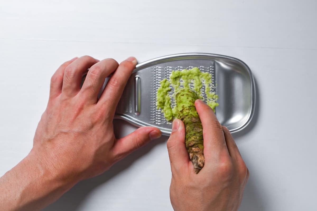 wasabi root being grated on a silver Japanese grater top down