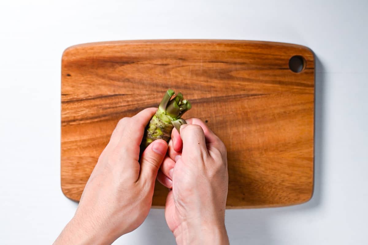 Peeling the stems of fresh wasabi root