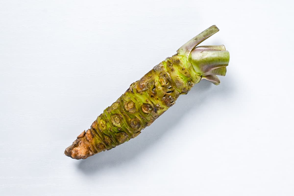 Wasabi root on a white background