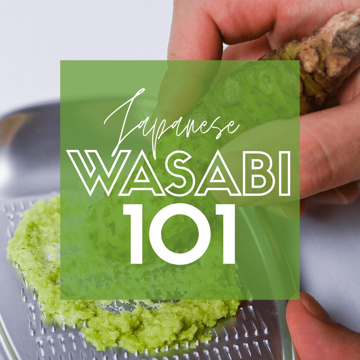 Wasabi 101 - wasabi root being grated on silver Japanese grater