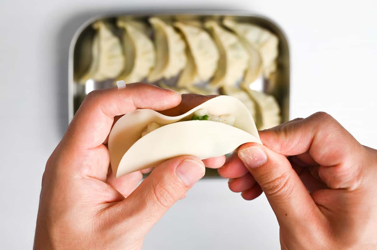 folding prawn gyoza by hand