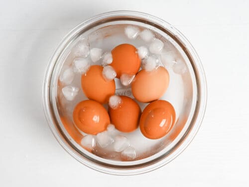 eggs cooling in ice cold water