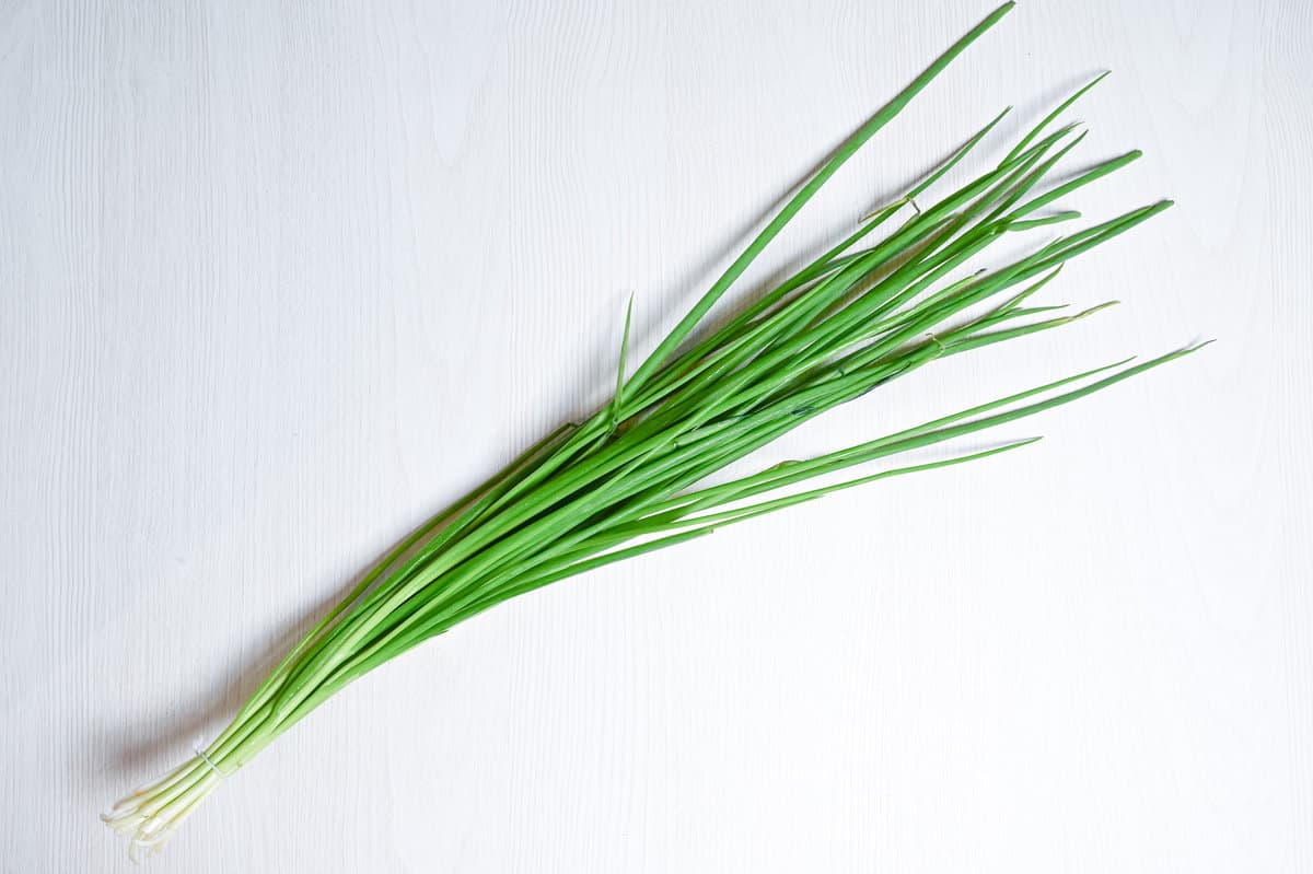 konegi versatile green onion