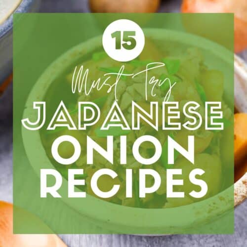 Featured image Japanese onion recipes