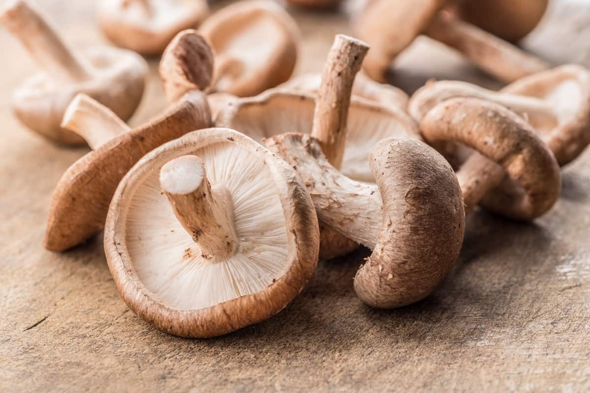 fresh shiitake mushrooms on a wooden table