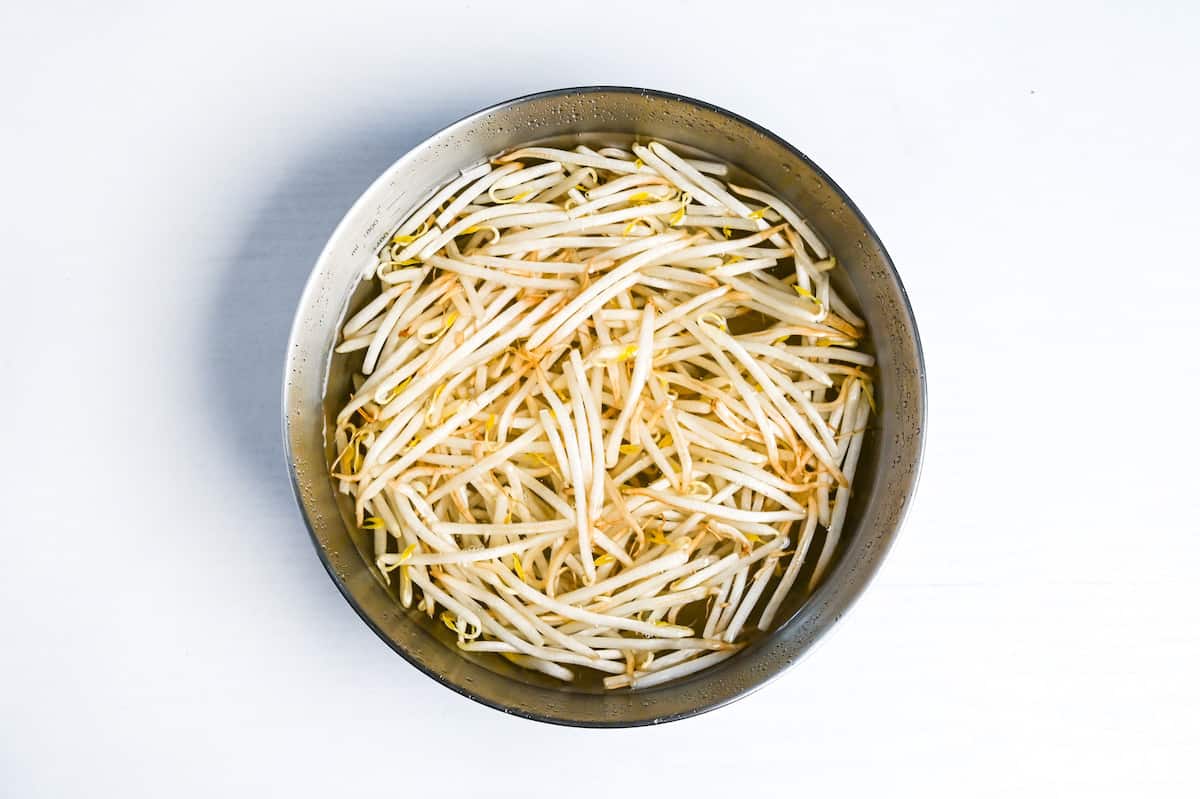 soaking beansprouts in a bowl of water