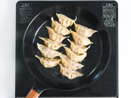 steamed pan-fried gyoza in a pan