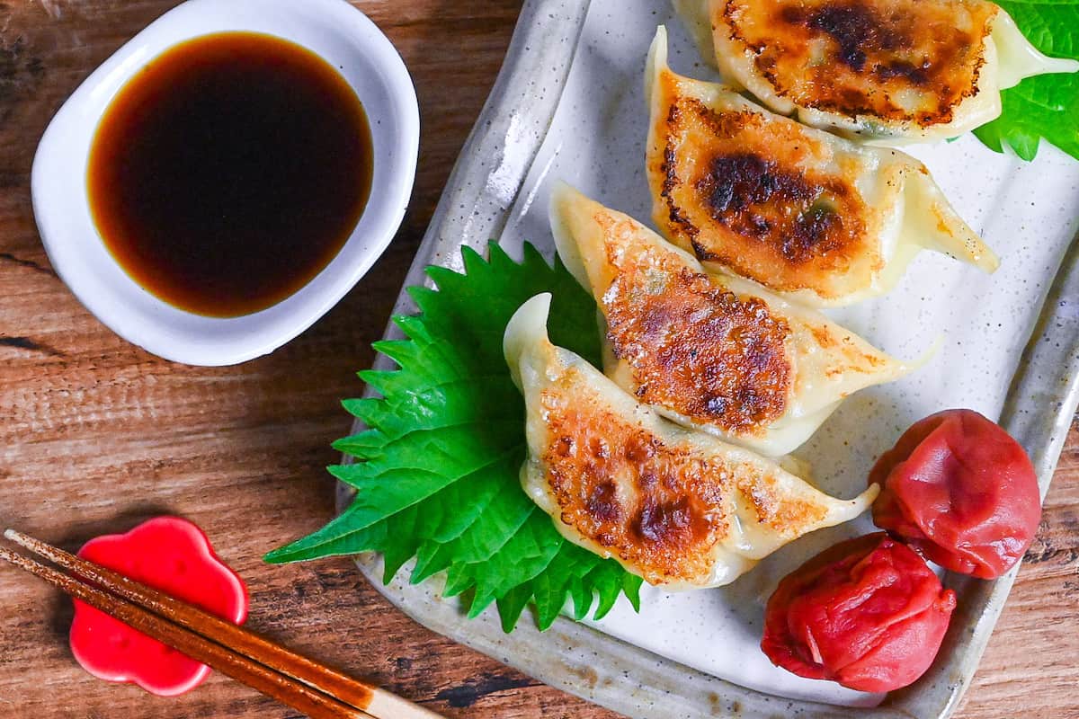 Chicken gyoza with umeboshi and perilla leaves (shiso) on a cream rectangular plate with ponzu dipping sauce