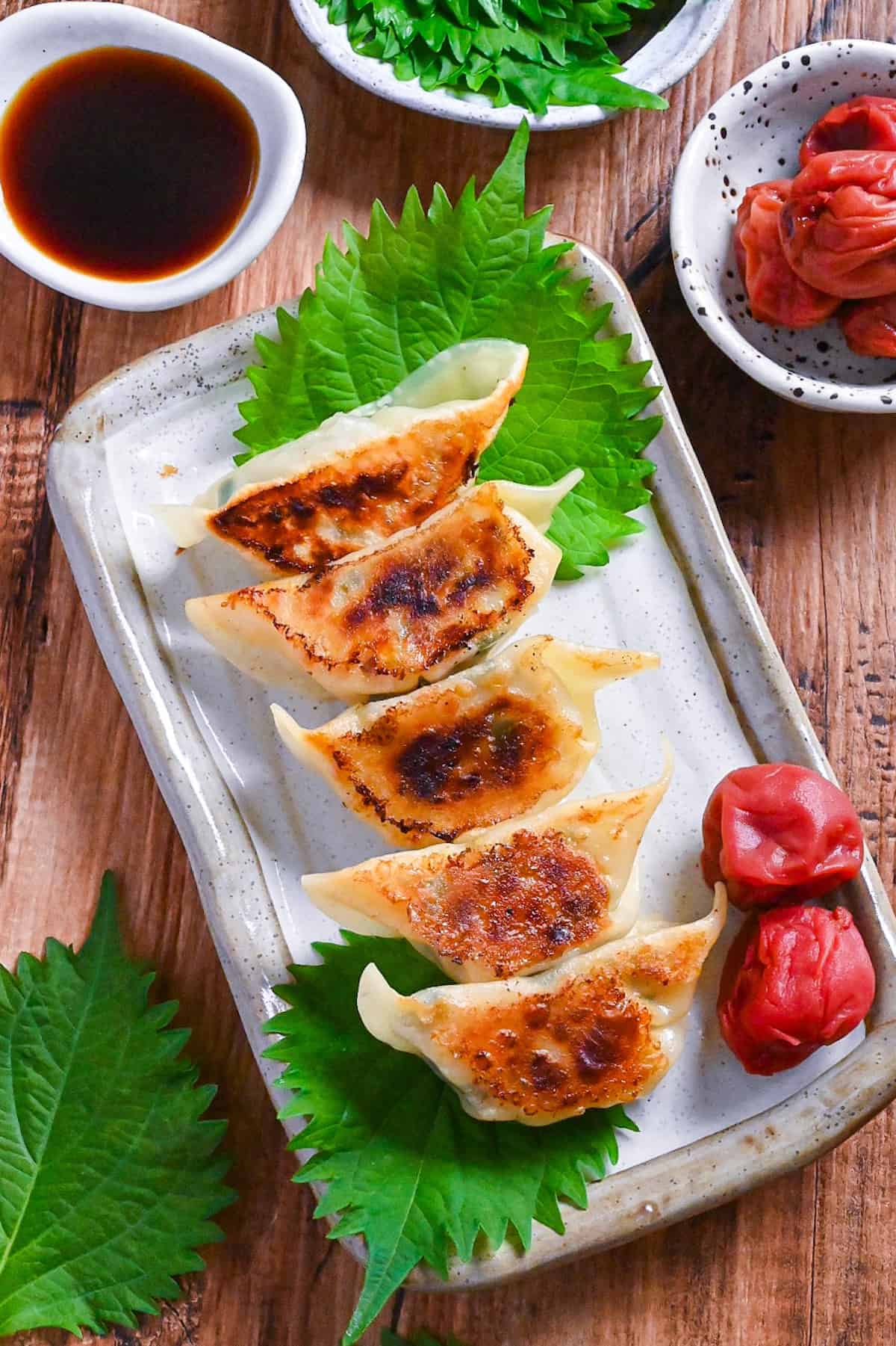 Chicken gyoza with umeboshi and perilla leaves (shiso) on a cream rectangular plate with ponzu dipping sauce