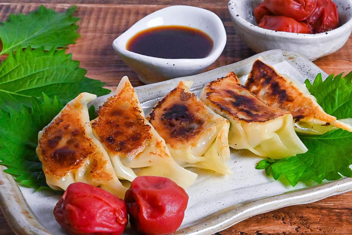 Chicken gyoza with umeboshi and perilla leaves (shiso) on a cream rectangular plate with ponzu dipping sauce
