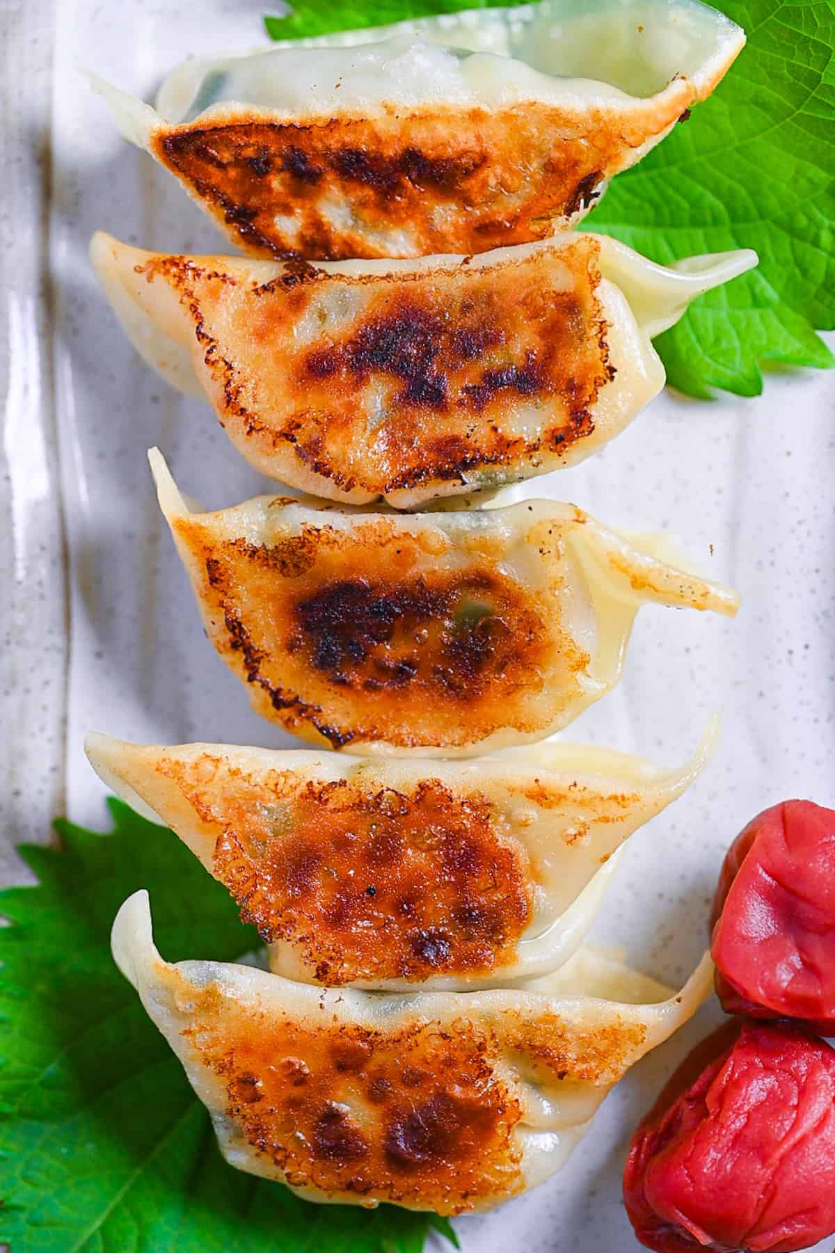 Chicken gyoza with umeboshi and perilla leaves (shiso) on a cream rectangular plate with ponzu dipping sauce