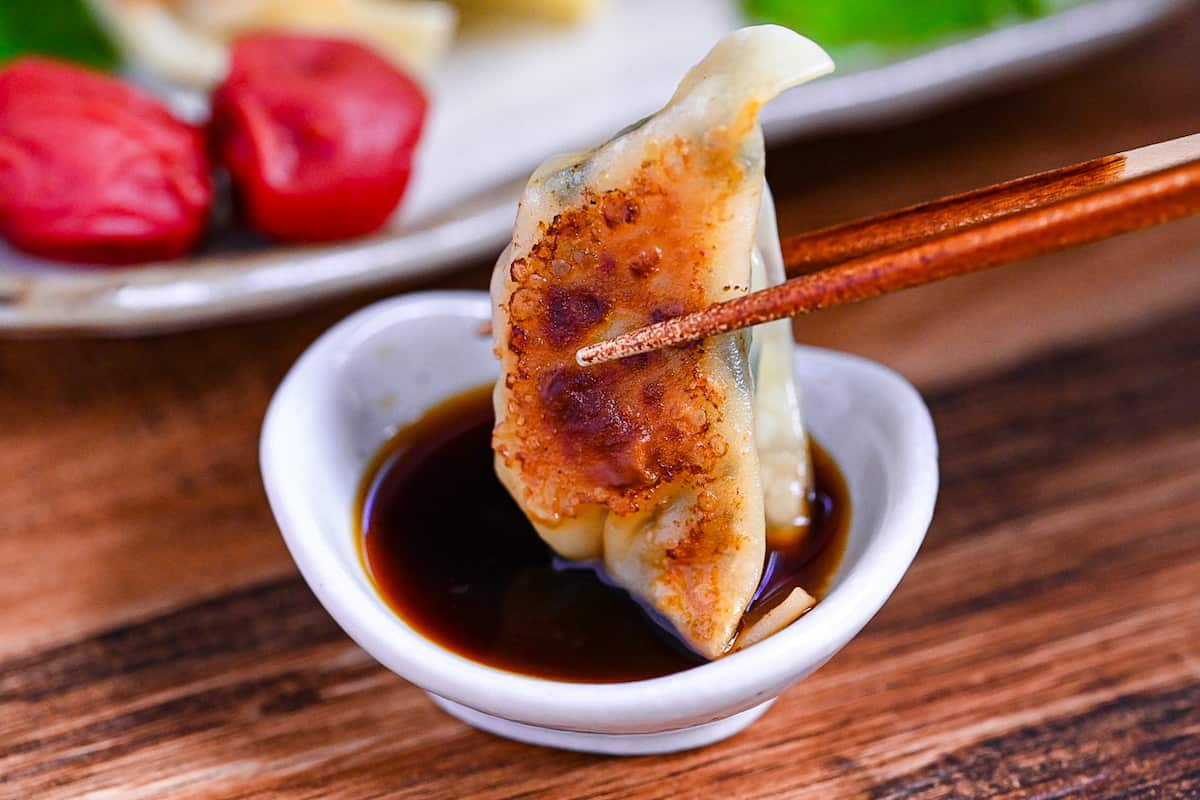 dipping chicken gyoza flavored with umeboshi and perilla leaves in ponzu sauce