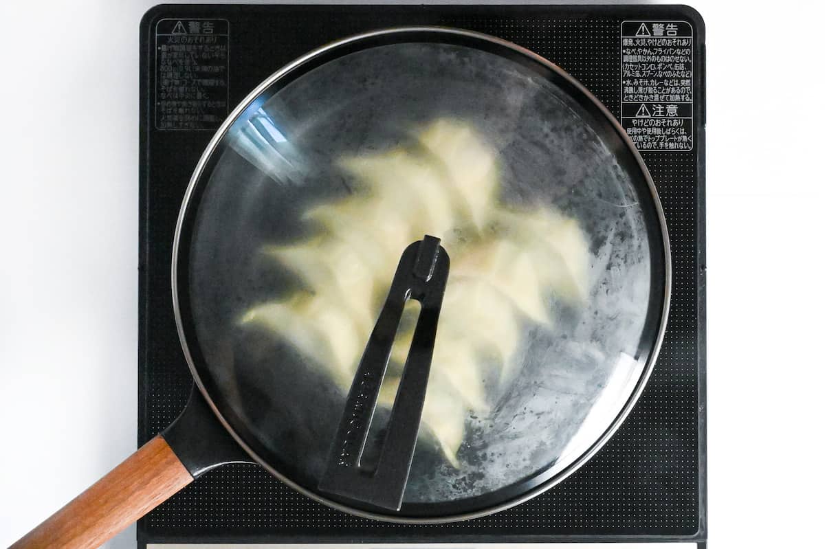 chicken gyoza steaming in a frying pan with lid