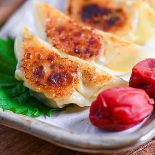 Chicken gyoza with umeboshi and perilla leaves (shiso) on a cream rectangular plate close up