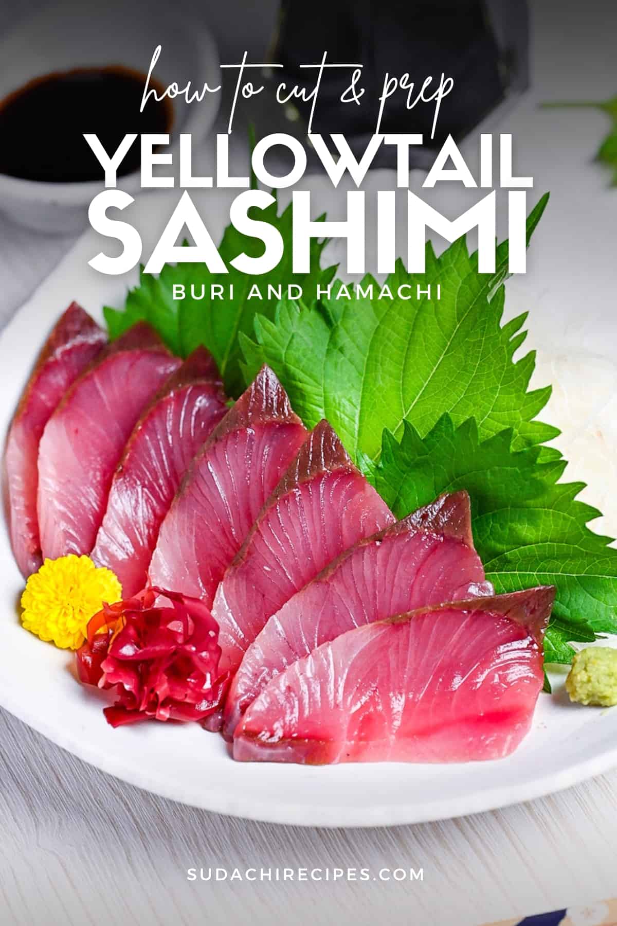 what is yellowtail sashimi? The differences between buri and hamachi