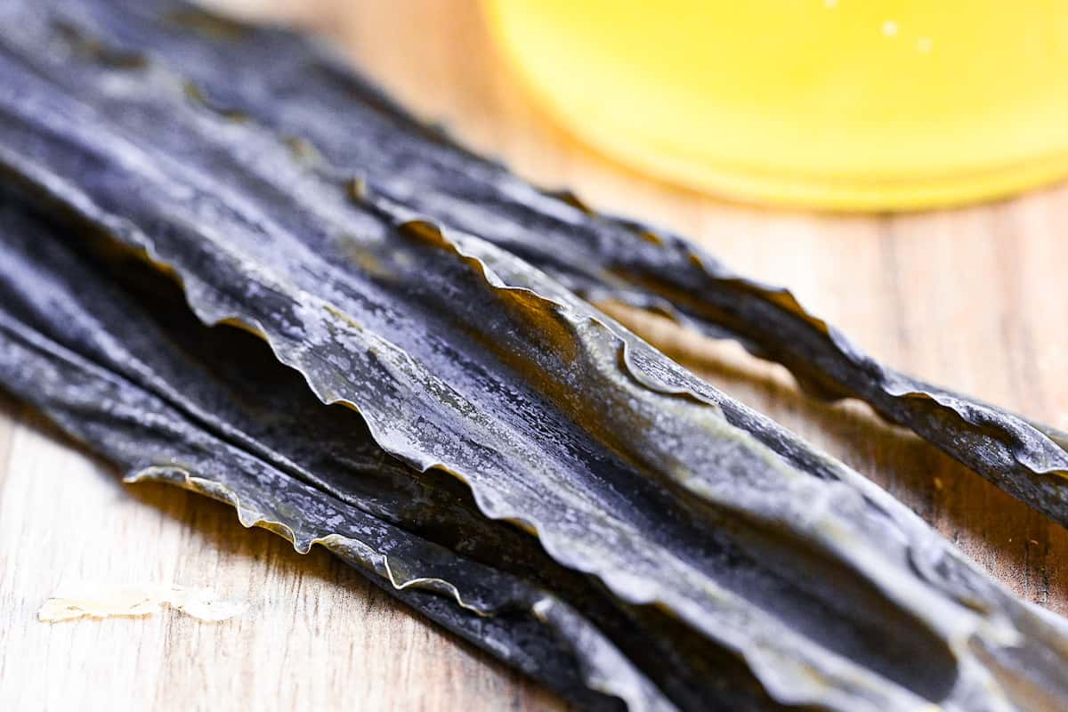 close up of kombu