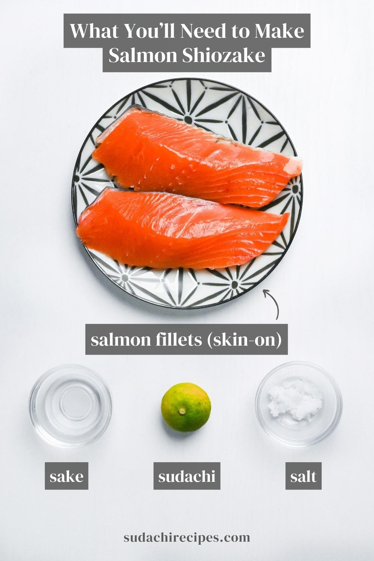 salmon shiozake ingredients on a white background with labels